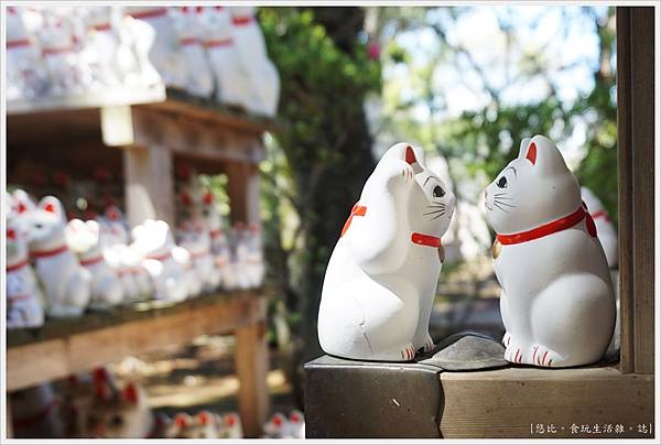 [東京|東急一日券。招福貓神社 豪德寺。無料 Carrot Tower展望台]