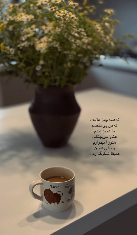 ایواز🌱😍: رسانه پست