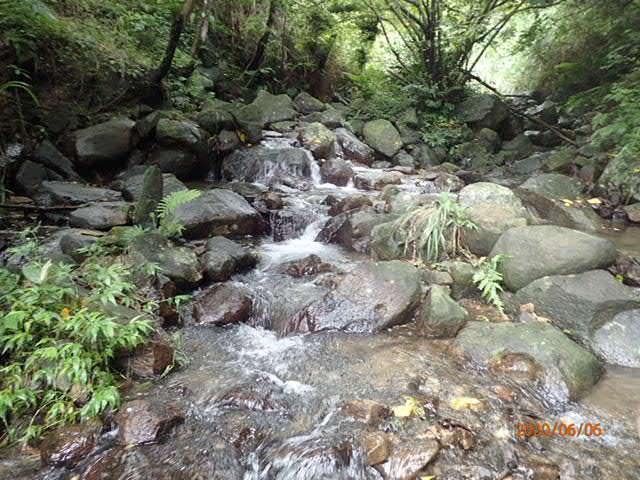 當志工好開心-淡蘭古道楊廷理古道走一回