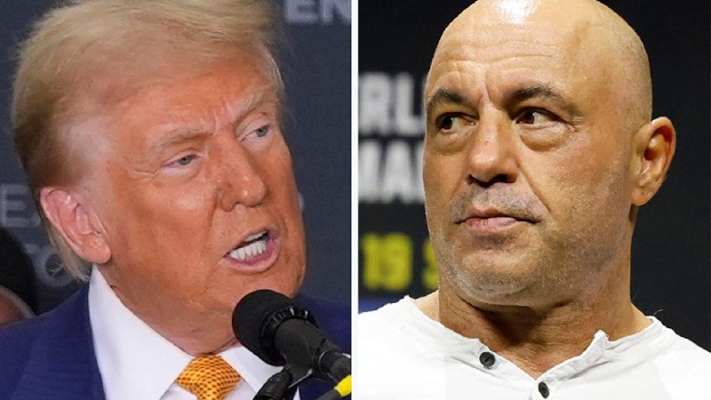 Trump reacts to Joe Rogan's warning about becoming 'monsters' over deportations, no due process