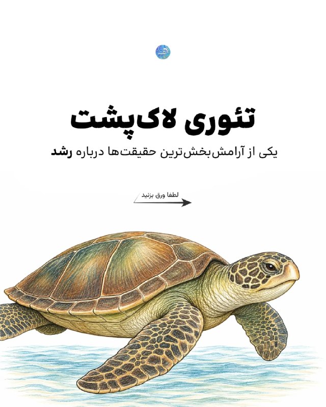 مرکز مشاوره گفتمان: چیزی که تغییر پایدار رو میسازه 👇🏼 تداومه نه سرعت! روی جهت درست و استمرار تمرکز کن. قدمهای کوچک، وقتی مداوم تکرار بشن،