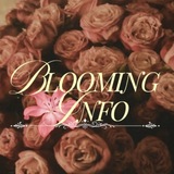 𝓑𝓵𝓸𝓸𝓶𝓲𝓷𝓰 𝓯𝓵𝓸𝓸𝓭 | info