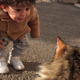 ❤️ChaT❤️ Telegram Group Link