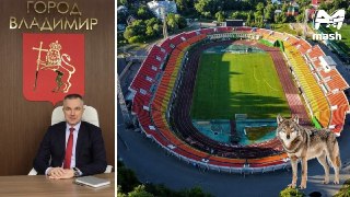 Новый мэр Владимира Сергей Волков прикрылся футбольными фанатами местного "Торпедо", чтобы построить за бюджетные деньги памятник самому себе волку возле стадиона ФК. Хотя символ города — лев, а клуба — панда.Администрация города заявила в документах, что 