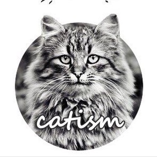 Telegram profile photo for Котизм
