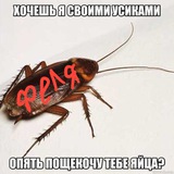 fillet__