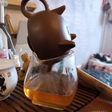 My Own Tea Testing