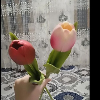 Beg'uborginam Telegram Group Link