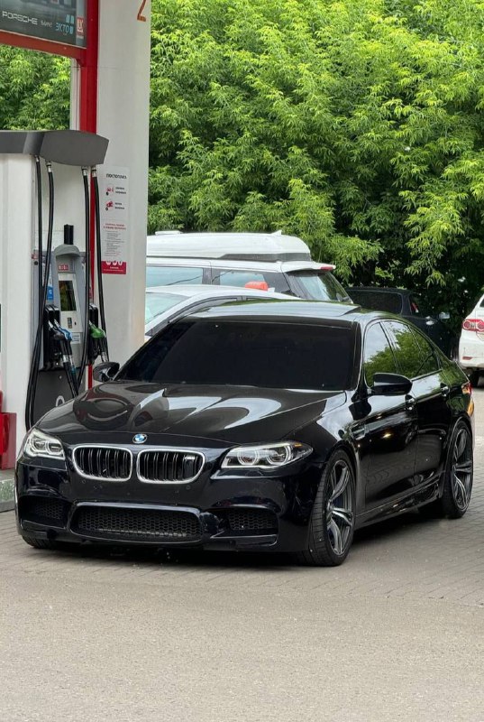 https://t.me/bmw_mpower_club