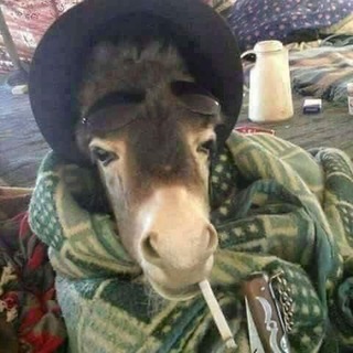زنوج الاعتراف