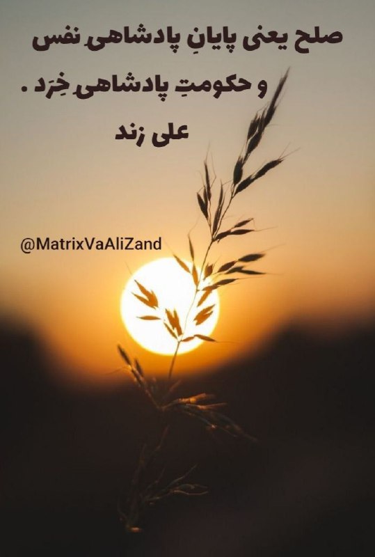 🍷سیروسلوک مستان🍷: رسانه پست