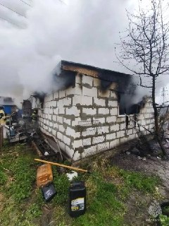 200 щенков шпицев, бульдогов и чихуа-хуа сгорели из-за халатности хозяйки — нижегородка отапливала помещение, где жили собаки, старой печкой без заслонки.Угли вылетели из очага на пол, разгорелся огонь, который уничтожил часть постройки. Итоговая площадь в