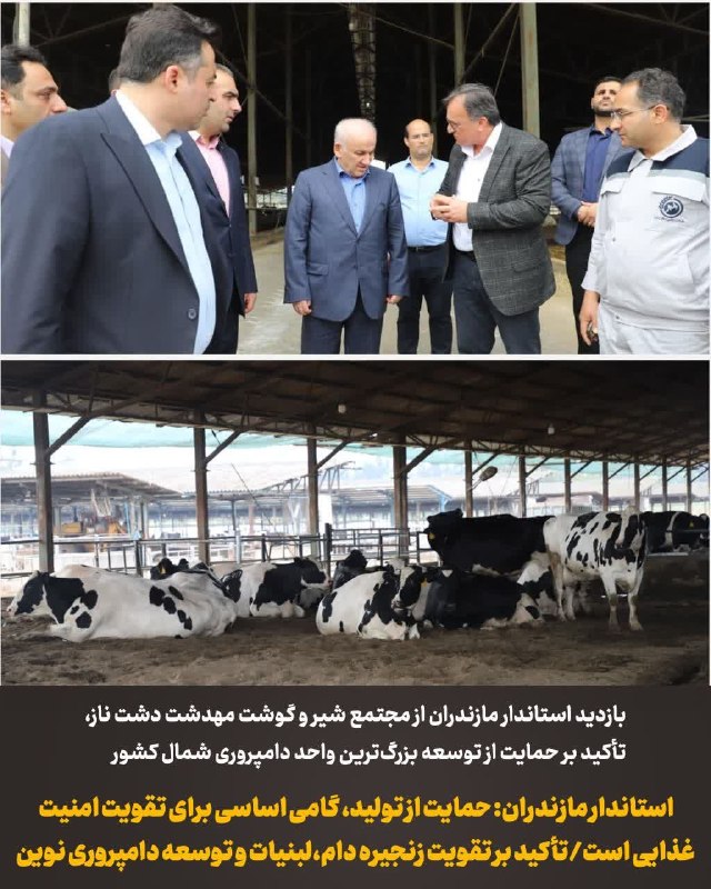 استانداری مازندران: 🔺بازدید استاندار مازندران از مجتمع شیر و گوشت مهدشت دشت ناز،تأکید بر حمایت از توسعه بزرگترین واحد دامپروری شمال کشوراست