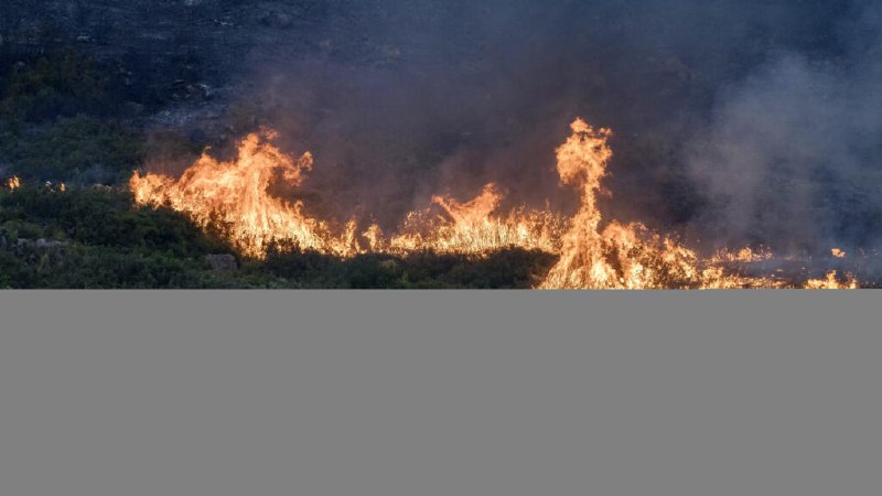 במערב אירופה נצפו יוני-יולי החמים ביותר שנרשמו כאשר שינויי האקלים מזינים את הקיץ ההיסטורי