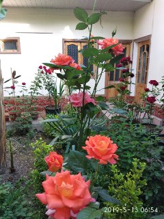 Private house for sale