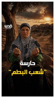 מאבק מתמשך על עושר הארץ, מול גיהנום ההתיישבות היומיומי.