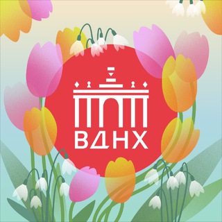 ВДНХ Telegram Group Link