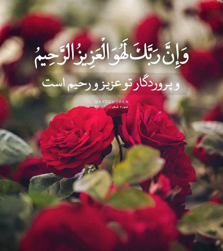 ذڪـر رۅزانـہ: غروبتون پرفروغ وبی غم🕊💠🕊💠🕊💠🕊💠 💠🕊💠🕊💠🕊💠🕊࿐ᭂ⸙♥️﷽ ♥️⸙ᭂ࿐💥🌹بعداز نماز مغرب💥ﺍِﻥَّ ﺍﻟﻠﻪَ ﻭَ ﻣَﻠﺌِﻜَﺘَﻪُ ﻳُﺼَﻠُّﻮﻥَ ﻋَﻠَﻲ ﺍﻟﻨَّﺒِﻲ