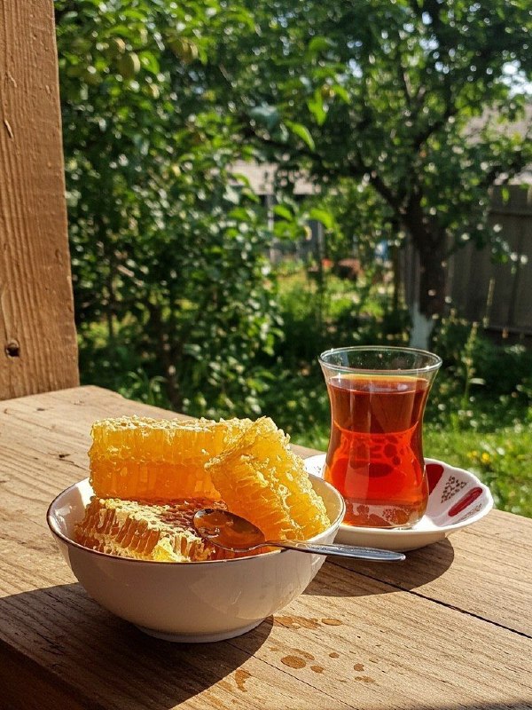 ❤️ڪافـه شـ؏ـر مجنـون❤️: دلا! چه دیده فروبستهای،سپیده دمیدسری برآر ؛که خوش عالمیست عالمِ صبح#طالب_آملی♥️☕️ @caafee
