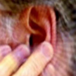 Acúfenos y tinnitus Telegram Group Link