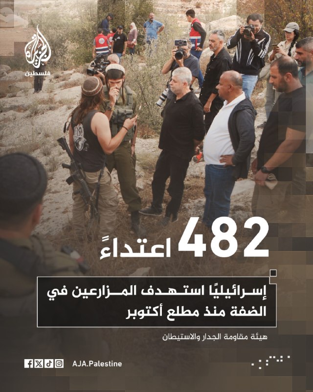 ועדת ההתנגדות לחומות ולהתנחלויות: 482 תקיפות של מתנחלים וצה"ל על חקלאים פלסטינים מתחילת עונת מסיק הזיתים בת…