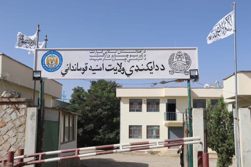 خبرگزاری صدای افغان (آوا): 🛑جانباختن یک تن در پی حادثه ترافیکی در دایکندی🔸در پی وقوع یک حادثه ترافیکی در مربوطات حوزه دوم امنیتی مرکز ولایت دایکند