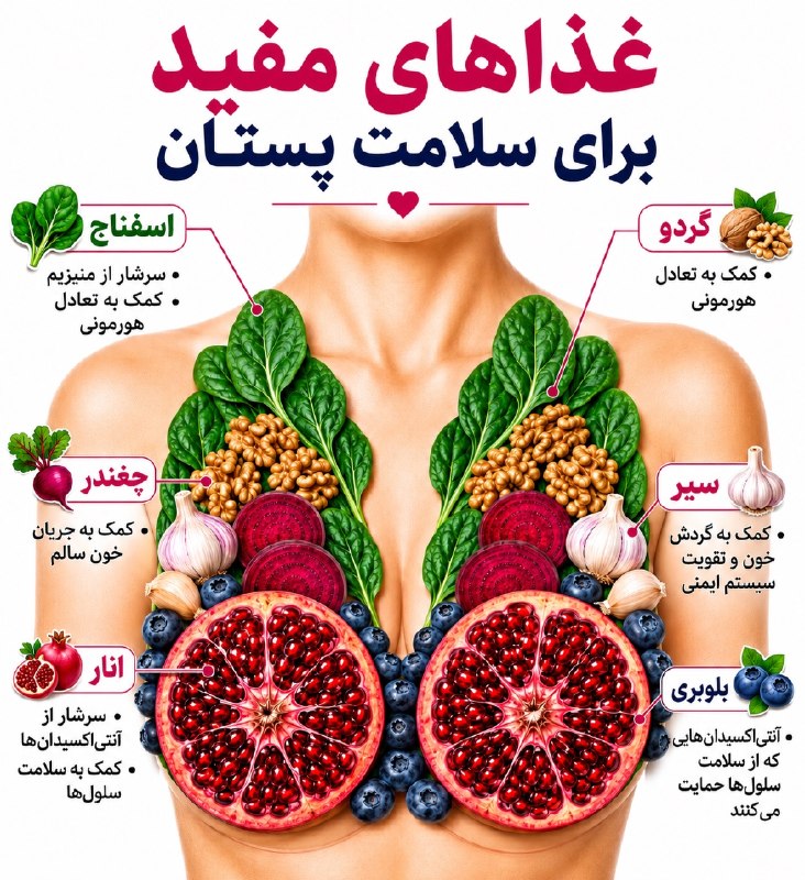 مجله تن سالم وطب سنتی: ☑️غذاهای مفید برای سلامت پستان