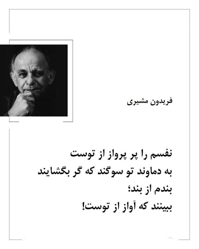 📸 گلچین بهترینها 🗒🎼: رسانه پست