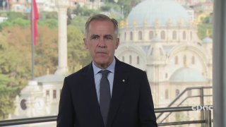Canadian Prime Minister Mark Carney: