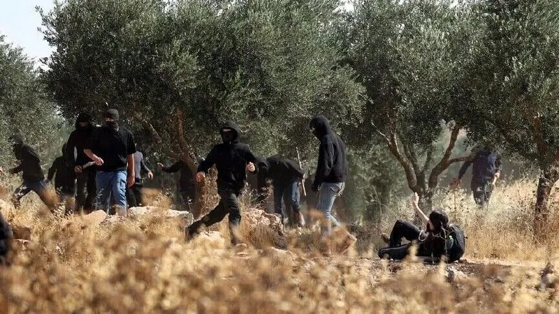 Amnesty International: Prisoners implemented the ethnic cleansing program in the West Bank