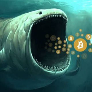 🐋CRYPTO BALİNA 🐋