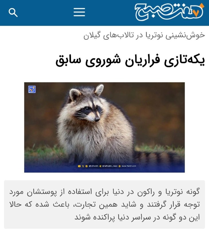 آسوندار (لیلا مرگن، خبرنگار): 🔹نوتریا و راکون دو گونه‌ای هستند که از آذربایجان شوروی سابق به ایران وارد شده‌اند.🔹کارشناسان نوتریا را گونه مهاجم نمی‌دا