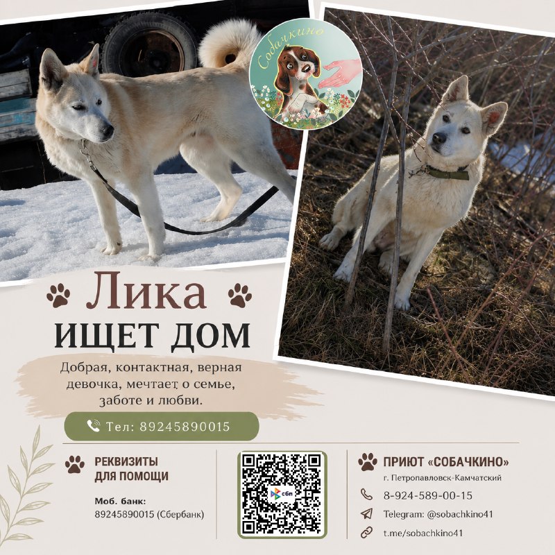 @help_animal41 posted a photo