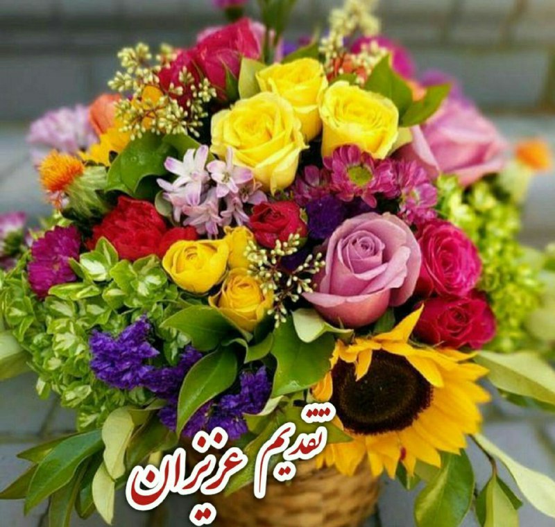 ♥️س̾ل̾ط̾ا̾ن̾ ق̾ل̾ب̾م̾ م̾ا̾د̾ر̾م̾♥️: 🌼بارالها به دوستان و عزیزانم 🌸در این صبح زیبااا🌼شادی ،تندرستی ،و عاقبت🌸بخیری عطا فرما 🌼یه روز قشنگ ، یه دل خوش ،🌸آرزوی ق