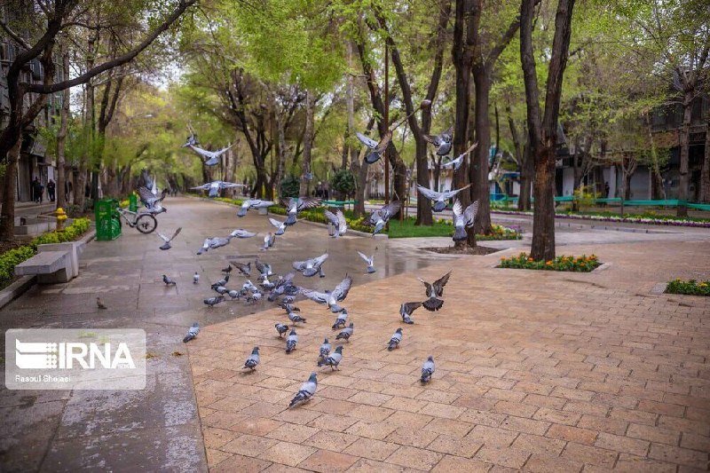 🔸 חרבג עבאסי ממתין להנהלת היחידה לשימור הזהות ההיסטורית