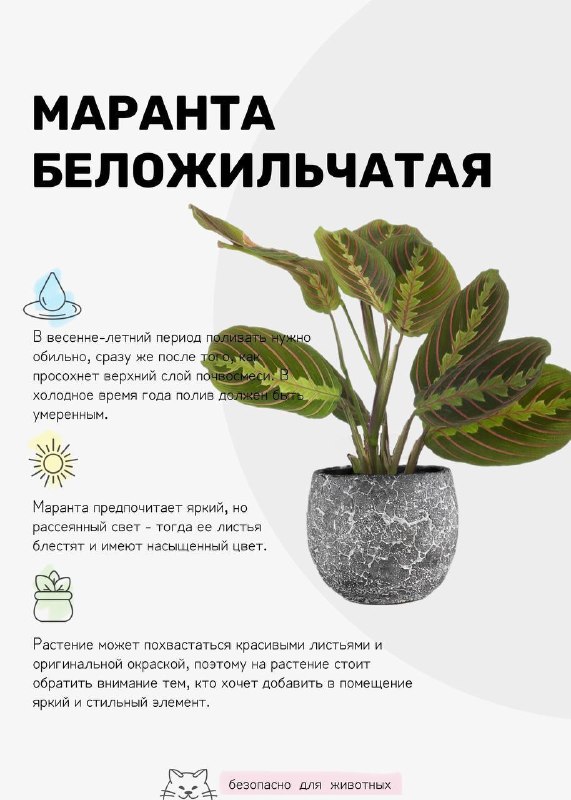  | Декор Интерьер Дизайн - изображение 5 - 