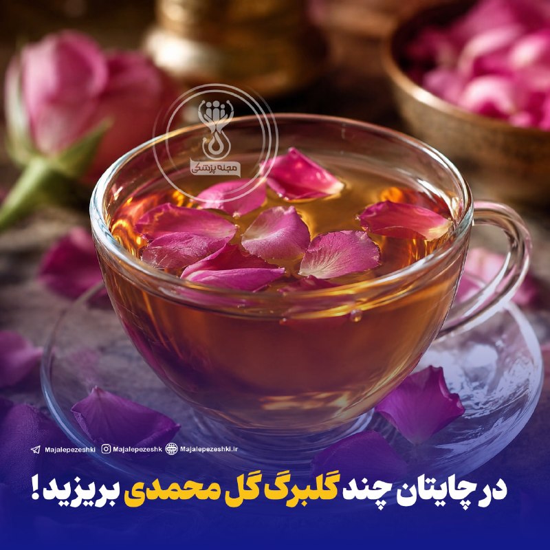 دکتر خودمان باشیم: در چایتان چند گلبرگ گل محمدی بریزید !☕️◽️چای گل محمدی؛ باعث شادابی و کاهش چین و چروک های پوست، تقویت سیستم ایمنی بدن، پا