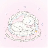 🤍𝐛𝐢𝐬𝐞𝐞𝐫.𝐳𝐳𝐳🍰