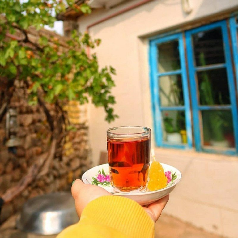 💙عشق و دلتنگی💙: غنچه‌ے صبحے دوبارہ باز شدآفتاب دیگرے آغاز شدتا گلستان جهان سرشار زیبایے شودتا بهار مهر ورزیدن تماشایے شودتا تو پلڪ مخملت