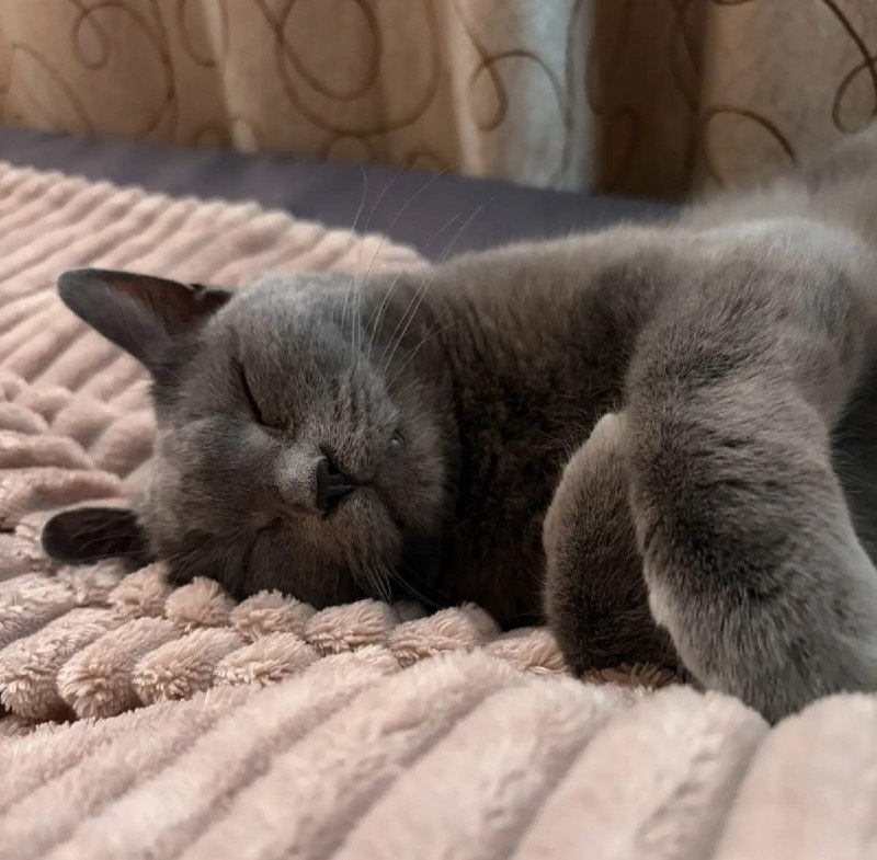 Нет для нас большей радости, чем получать весточки от...