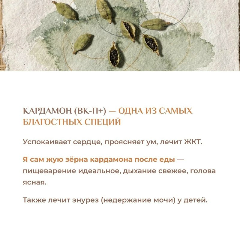 Еда — не просто калории: ваш секретный союзник в борьбе за здоровье 6