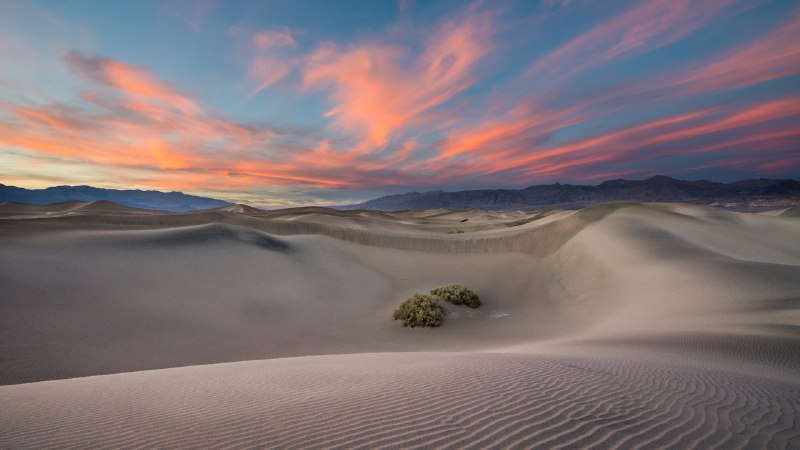 Sands of timeMesquite Flat Sand Dunes in Death Valley National Park, California (© Bryan Jolley/TANDEM Stills + Motion)
