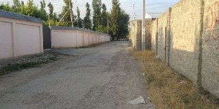 Продаётся земельный участок, Учхоз, Алишеробод,  1-гектар