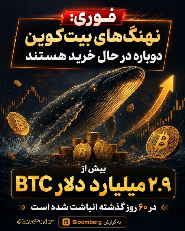 گاو پولدار | ترید | سیگنال: 🪙 نهنگ های بیتکوین دوباره وارد فاز خرید شدن! 🐋⚪️طبق گزارش بلومبرگ، نهنگها طی 60 روز گذشته بیش از 2.9 میلیارد دلار بیتک