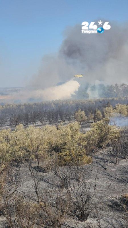 🇮🇱 שרפה פרצה בשטח פתוח סמוך ליישוב יסודות שבמועצה האזורית נחל שורק. לוחמי האש וארבעה מטוסי כיבוי פועלים ל…