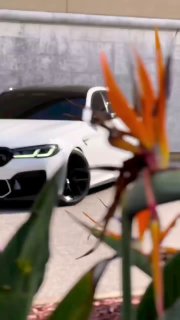https://t.me/bmw_mpower_club