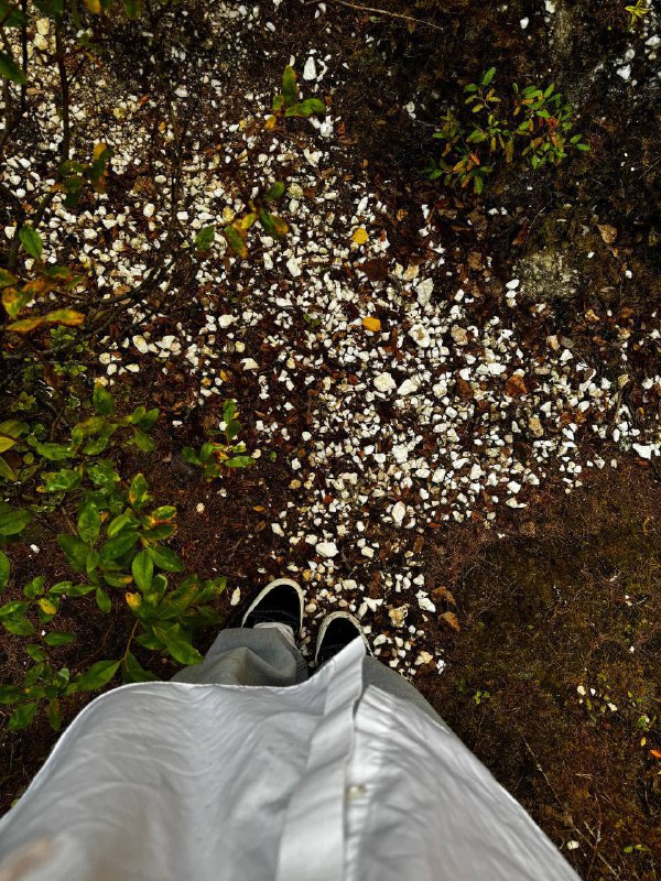 Наша поездка в Архангельск подошла к концу. Вылетаем в Санкт-Петербург с целой кучей теплых воспоминаний, фотокарточек и новых идей.Если кратко: много гуляли, говорили, смеялись, любовались природой и храмами, общались с родными Лизы и наслаждались временем друг с другом.Сейчас будет супер-честно⬇️Во мне эта поездка оставила очень разнообразные чувства и 1 важное осознание. Контекст:1 — это мои первые отношения, в которых семья партнера знает обо мне и принимает наши отношения, хорошо общается со мной;2 — в моей семье было по-другому, теплоты и близости где-то не хватило.Если в своей семье я всегда чувствовала себя взрослой, была с родителями на равных, и я делала акцент на себя, свое развитие, цели и амбиции, то в семье Лизы я увидела и прожила нечто совершенно другое. Дружная, теплая семья, где принято выражать свои чувства, шутить, поддерживать и вообще двигаться по жизни вместе. Я оказалась в этой атмосфере и почувствовала, насколько мне этого не хватало. И насколько классно, что я смогла это получить.В своей семье я научилась верить в себя и реализовывать свои мечты, а в этой семье поняла, что могу научиться любить и быть любимой.Вот такая поездка. А как ваши выходные? Я правда буду рада, если вы что-то напишете в комментариях, а то обычно вы молчаливые. Но я искренна с вами и была бы рада встретить искренность в ответ 🌹