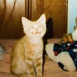 вася мет.