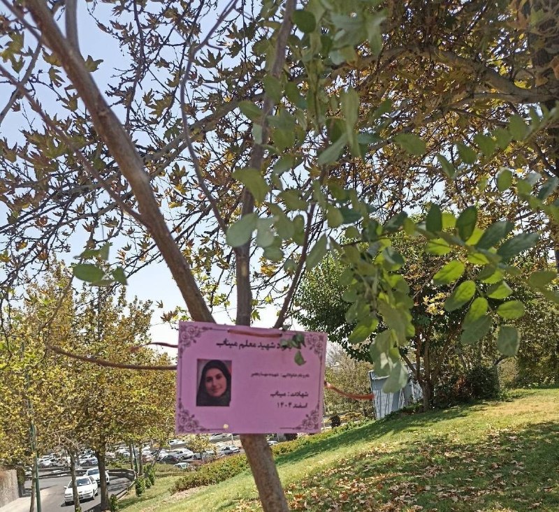 شمیران ‌۲۴: 🌷کاشت ۱۶۸ اصله گونه گیاهی به یادشهدای میناب در بزرگراه مدرس 🌱 محمد محمدی شهردار ناحیه ۷: در گرامیداشت یاد ۱۶۸ دانش آموز 