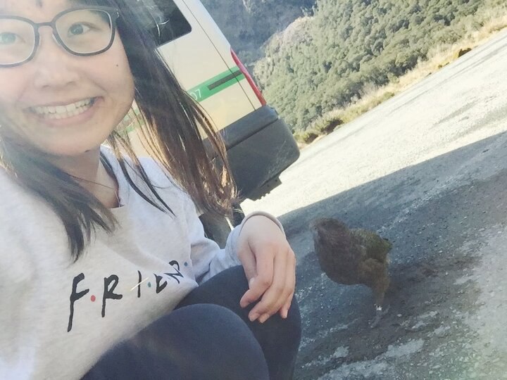 紐西蘭旅行｜米佛峽灣的動物們